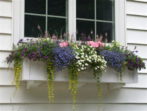 custom size window boxes